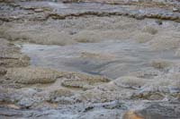 119-Anemone_Geyser-watering_flowing_out_of_hole_causing_a_puddle