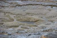 120-Anemone_Geyser-wait_a_second,now_the_water_drains
