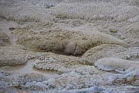 122-Anemone_Geyser-then_drains,almost_like_it_is_breathing