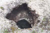 124-natural_hot_spring_pool-interesting_to_see_wildflowers_on_rim