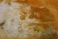 129-animal_tracks_in_bacterial_mats-natural_so_just_fine