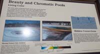 166-Interpretive_Sign-Beauty_and_Chromatic_Pools-Living_Color