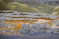 207-interesting_sinter_formation_and_color_from_Shell_Geyser