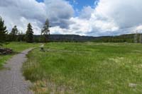 228-looking_back_to_open_meadow-too_bad_no_bison_herd