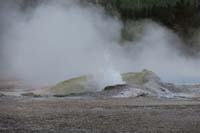 232-Comet_Geyser_while_Daisy_Geyser_was_not