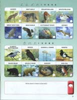 277-Yellowstone_NP_Junior_Ranger_program17