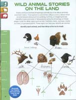 278-Yellowstone_NP_Junior_Ranger_program18