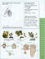 279-Yellowstone_NP_Junior_Ranger_program19