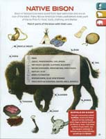 281-Yellowstone_NP_Junior_Ranger_program21