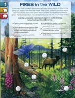 282-Yellowstone_NP_Junior_Ranger_program22
