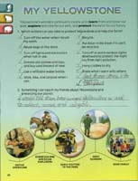286-Yellowstone_NP_Junior_Ranger_program26