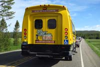 01-behind_a_big_tour_vehicle_during_a_bison_jam_on_the_way_to_Norris_Geyser_Basin
