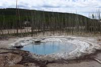 11-Cistern_Spring-being_drained_by_Steamboat_Geyser_eruption