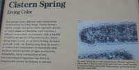 12-Interpretive_Sign-Cistern_Spring