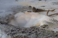 16-Veteran_Geyser