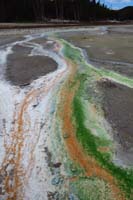 43-mineral_colored_water_continuing_East_Fork_Tantalus_Creek