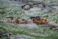 48-little_mineral_colored_waterfall