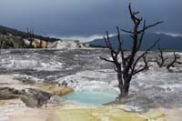 11-pretty_desolate_scenery-remnants_of_tree