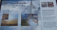 16-Interpretive_Sign-Travertine_Occupants