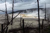 20-Canary_Spring_area-dead_portion_contrasting_active_travertine_formations