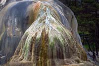 28-Orange_Spring_Mound