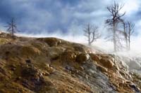 50-Palette_Spring-sun_come_out-looks_surreal