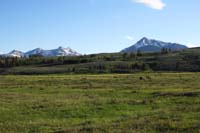 01-deer_in_meadow_and_pretty_scenery_very_late_in_day-8pm