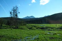 02-pretty_scenery_along_drive_after_visiting_Mammoth_Hot_Springs