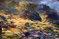 27-colors_in_the_setting_sun_are_surreal