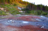 28-nature's_colors