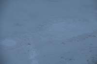 71-mudpot_in_action