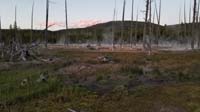 77-dead_trees_and_thermal_venting