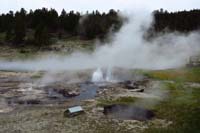 17-Young_Hopeful_Geyser