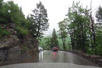 012-continuing_along_the_wet_road,amazing_how_that_tree_grew
