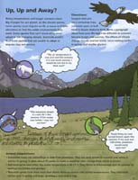 129-Glacier_NP_Junior_Ranger_program09-number_81