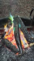 92-mystical_fire-colorful_flames-Kenny's_photo
