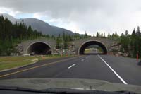 27-very_pretty_and_useful_animal_crossing_overpass