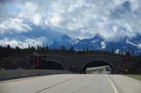 01-starting_the_drive_back_home-so_enjoy_the_forested_wildlife_crossings_over_the_highway