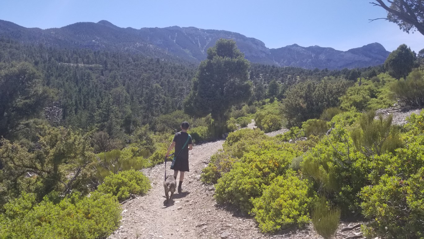 06-Kenny_and_Rainier_on_a_hike