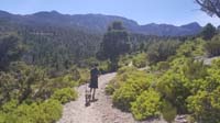 06-Kenny_and_Rainier_on_a_hike