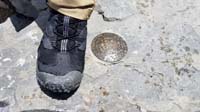 29-survey_marker_and_Kenny's_foot