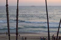 47-lots_of_surfers_enjoying_the_waves_at_sunset