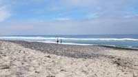 06-trying_again,but_this_time_walking_further_up_the_beach_to_start