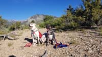01-Mommy_took_Rainier_and_visiting_Brinkley_on_a_hike_with_friend's_Hazel