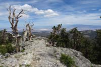 22-scenic_view_from_summit-looking_NE
