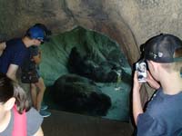 021-Kenny_admiring_the_grizzly_bear_exhibit