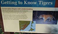 029-Interpretive_sign-Getting_to_Know_Tigers