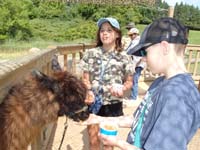 039-Leyna_and_Kenny_feeling_a_llama