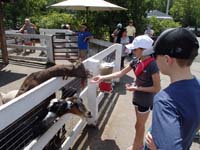 048-Brooke_and_Kenny_feed_goats