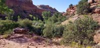 01-scenery_at_trailhead_looking_back-our_campsite_is_by_large_tree_in_background